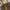 Louis Vuitton Vintage Y2K Crossbody Bag Wanita brown photo 3