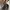 Louis Vuitton Vintage Y2K Crossbody Bag Wanita brown photo 2