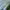 Trensic Spa0 Sweater Crewneck green sage basic boxy photo 4