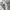 Nike acg strom fit 3 layer hooded jacket photo 10