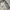 Toffee Grey Hoodie Oversize Double Zipper Boxy Fit photo 4