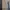 Dickies Casual Casual pants Pria tan gray photo 5