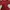 baby tea maroon photo 1