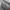 TIMBERLAND 6" Pattern Grey Made in Dominican Republic photo 10