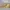 Converse Vintage Y2K Sneakers Pria white yellow photo 1