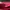Chanel Luxury Handbag Wanita burgundy black photo 5