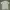 Polo Shirt By Ralph Lauren
