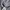 Oioi Streetwear Y2K Hoody Pria gray photo 3