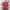Morocco Home Shirt/Jersey 2022