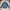 Unknow Brand Zip-up Moto Denim Jacket photo 1