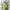 Norwich City Home Shirt/Jersey 2015 - 2016 photo 1
