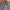 Army Flight Jacket photo 10