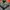 Army Flight Jacket photo 7