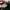Nike air max 95  photo 4