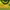 Streetwear Sportswear T-shirt Wanita green yellow photo 3