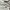 Lacoste Y2K Casual Polo shirt Pria white photo 4