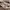 Converse Chuck Taylor All Star Lift Platform Y2K Heart  photo 2