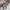 Louis Vuitton Luxury Handbag Wanita tan cream photo 8
