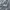 Jaket Gray Parasut photo 6