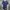 Kaos Vintage New York Yankees Premium (The Game Tag) photo 2