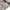 Massimo Dutti Luxury Minimalist Sweatshirt Pria tan photo 5