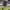 Jersey Ajax Amesterdam Third 2020/2021 Antony 39 photo 4