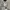 H&M Nylon Overshirt Grey Double Pocket photo 7