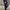 Goena Boat Neck Top  photo 1