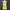 Y2k Gdh Tank Top