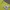 ZARA Casual Sweater Pria multicolor green photo 2