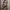 A-Line Formal Flower Midi Dress by Chic Simple Size M photo 1