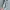 Rok Pendek Kaos Gaya Sporty
Brand Jepang East Boy photo 4
