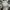 Burberry London - Burberry Blue Label Japan Nova Check Top photo 5