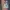 Tshirt by Stranger Things TM Netflix Inc.2020 Color Black✨ photo 3