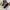 Timberland Men's Boots Feature a Dark Brown Cow leather photo 2