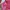 Jaket Windbreaker Prospecs Pink Original photo 6
