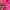 Jaket Windbreaker Prospecs Pink Original photo 4