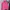 Jaket Windbreaker Prospecs Pink Original