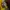 Adidas Y2K Sportswear T-shirt Pria green yellow photo 6