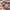 Vintage Jam tangan wanita Etienne Aigner photo 3