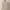 Uniqlo Oat Knitwear Basic Sweater Rajut Tebal Pria photo 1