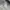 Jeep Streetwear Casual Sweatshirt Pria white gray photo 4