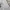 Jeep Streetwear Casual Sweatshirt Pria white gray photo 3