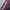 Ultimate Fighting Championship Venum  photo 3