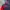 Ultimate Fighting Championship Venum  photo 5