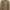 H&M Beige Teddy Fleece Hoodie (no Zip)