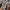 Real Madrid Away 2014-15 Retro Shirt Full Sleeves Original photo 4