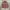 Veterano Flannel Shirt Fila photo 1