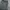 cargo vintage FIELD LIVED tactical utility multi pocket photo 5