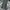 cargo vintage FIELD LIVED tactical utility multi pocket photo 2